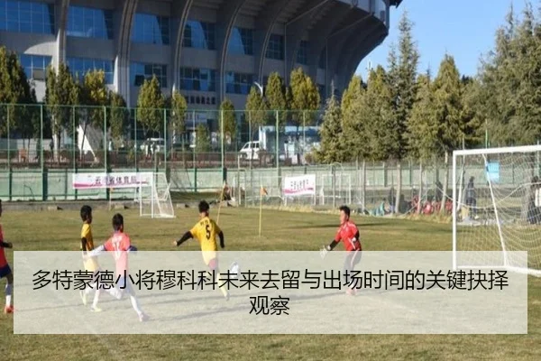 多特蒙德小将穆科科未来去留与出场时间的关键抉择观察